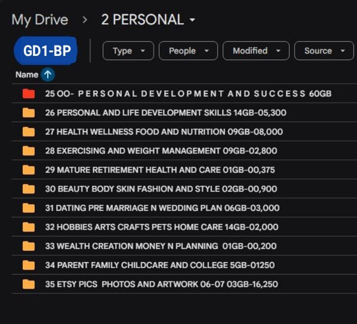 Personal Success Google Drive folder list